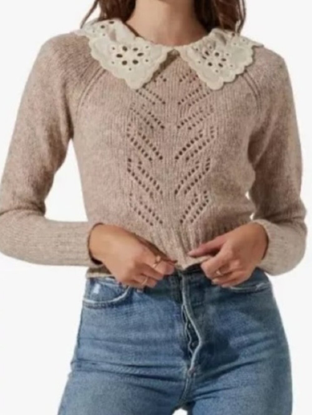 ASTR the Label Pointelle Knit Sweater with Eyelet Scallop Collar Taupe Medium
